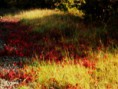 /album/fotogalerie/pa110039-jpg/