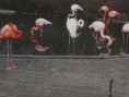 /album/fotogalerie/pb230138-jpg/