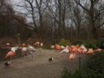 /album/fotogalerie/pb230146-jpg/