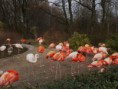 /album/fotogalerie/pb230148-jpg/