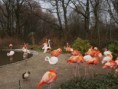 /album/fotogalerie/pb230150-jpg/