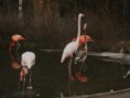 /album/fotogalerie/pb230155-jpg/
