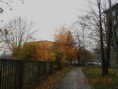 /album/na-havlickovo-namesti-v-o-porube/dscn1222-jpg/