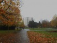 /album/na-havlickovo-namesti-v-o-porube/dscn1238-jpg/