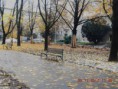 /album/na-havlickovo-namesti-v-o-porube/dscn1247-jpg/