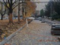 /album/na-havlickovo-namesti-v-o-porube/dscn1252-jpg/