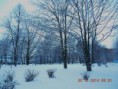 /album/cestou-k-lekari-30-12-2014/dscn6273-jpg/