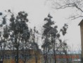 /album/cestou-k-lekari-30-12-2014/dscn6279-jpg/