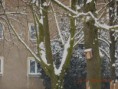 /album/cestou-k-lekari-30-12-2014/dscn6282-jpg/