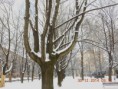 /album/cestou-k-lekari-30-12-2014/dscn6287-jpg/