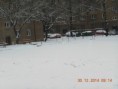 /album/cestou-k-lekari-30-12-2014/dscn6297-jpg/