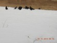 /album/cestou-k-lekari-30-12-2014/dscn6299-jpg/